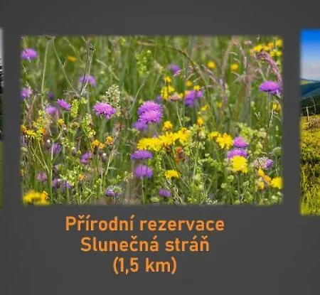 شقة U Mirka Svoboda nad Úpou