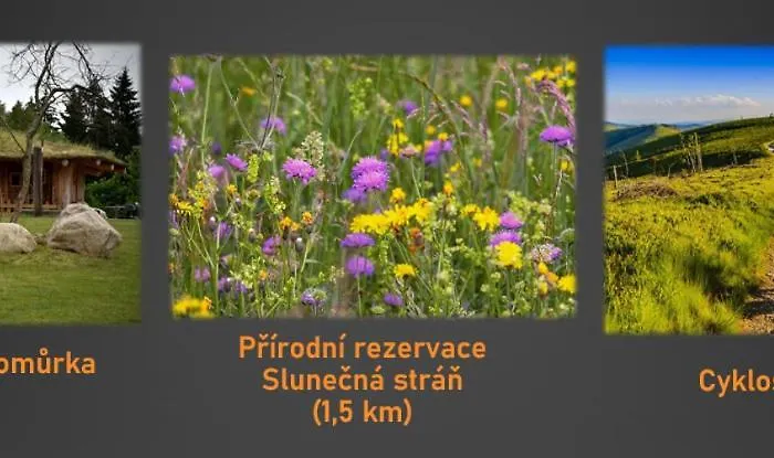 شقة U Mirka Svoboda nad Úpou